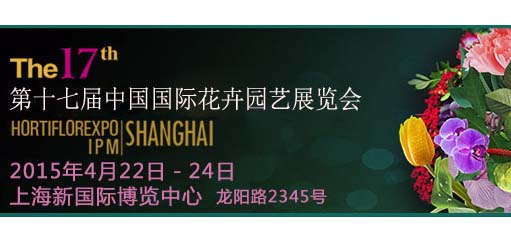 큰사진이미지